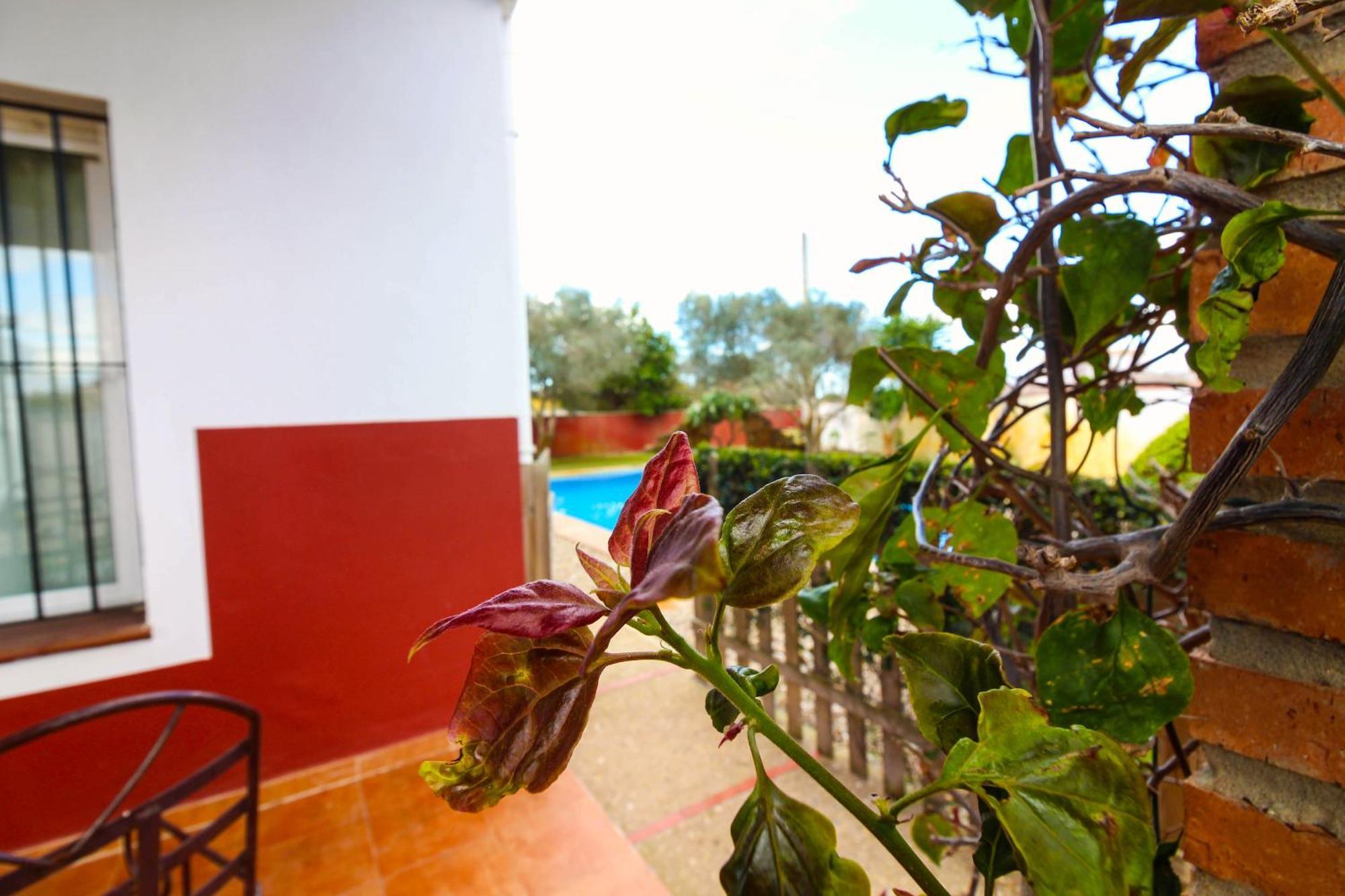 Candiles Ferienhaus *